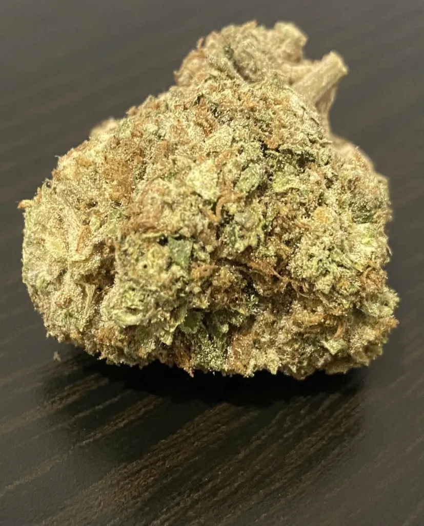 Banana Cream CBD Sous-serre