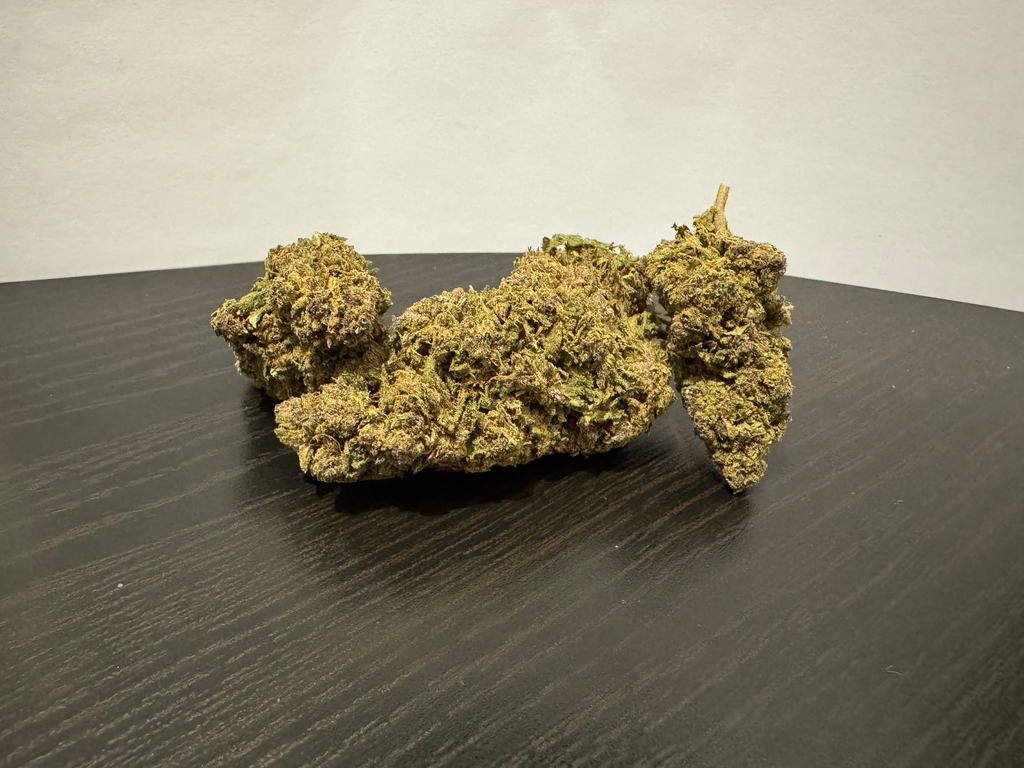 Sour Diesel CBD Sous-serre
