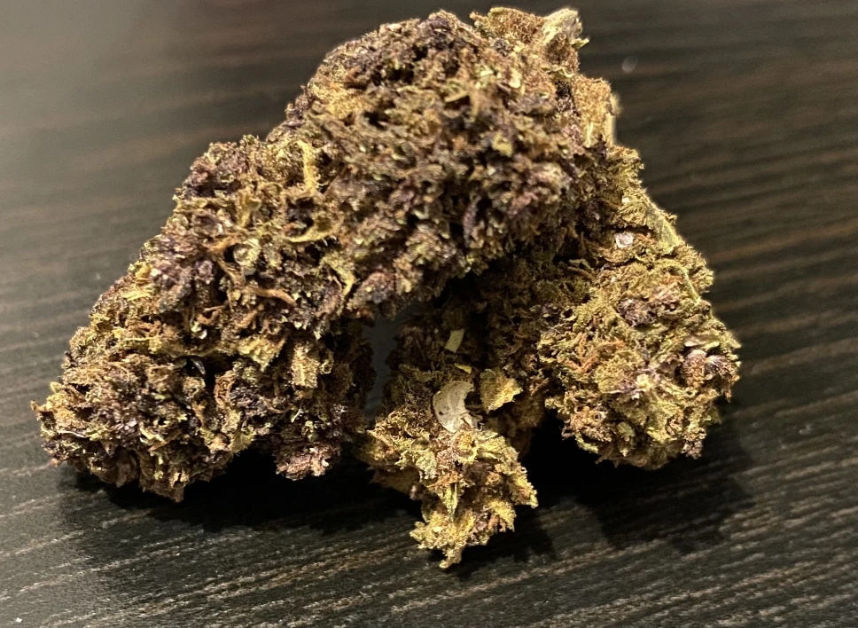 Purple haze CBD Intérieur
